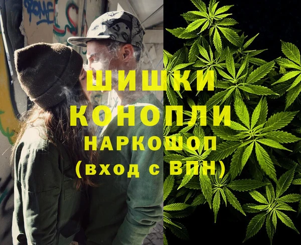 тгк Няндома