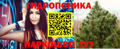 амф Пугачёв