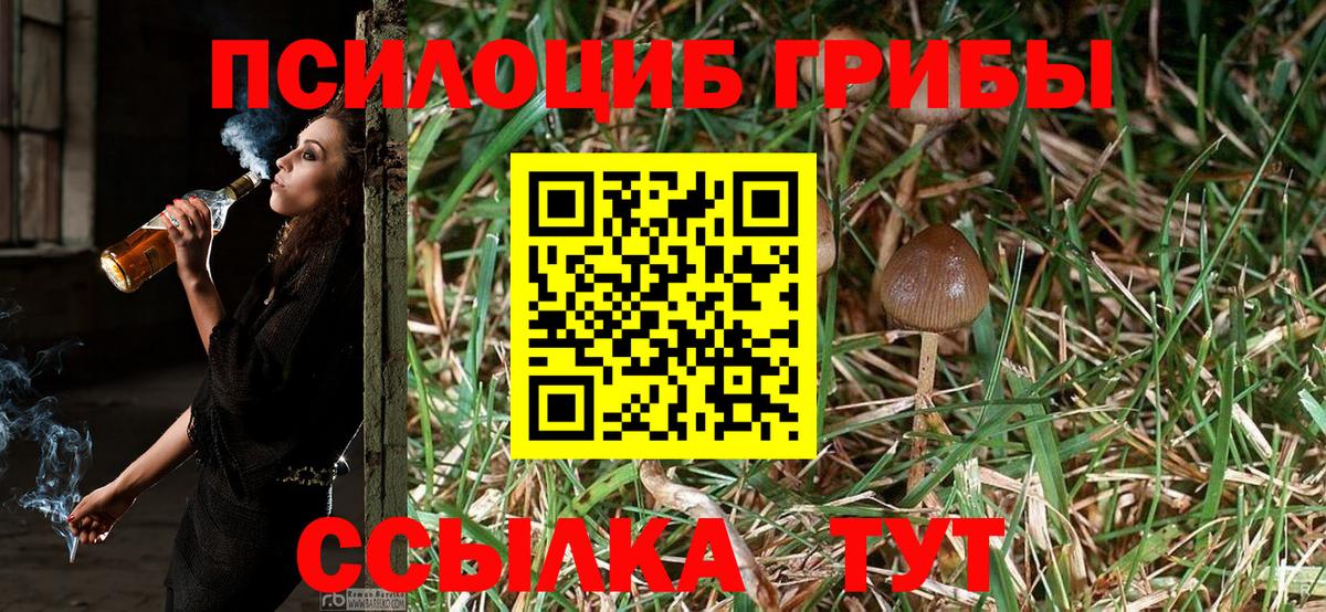 Рославль  Псилоцибиновые грибы Magic Shrooms  Псилоцибиновые грибы прущие грибы  Вход с VPN 